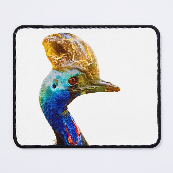 Item preview, Close-up of the head of a southern Cassowary designed and sold by Dalyndigital Photography.