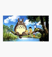 TOTORO Photographic Print