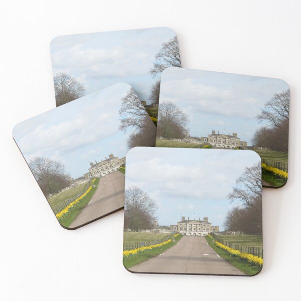 Item preview, Daffodils, Woolverstone Hall, Suffolk designed and sold by wiggyofipswich.