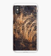 Nova Scotia Grasses iPhone Case/Skin