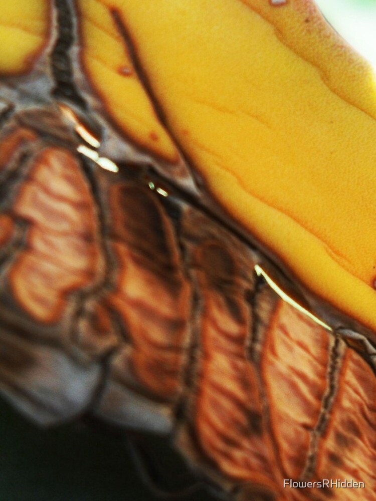 Thumbnail 4 of 4, iPhone Case, designed and sold by FlowersRHidden.