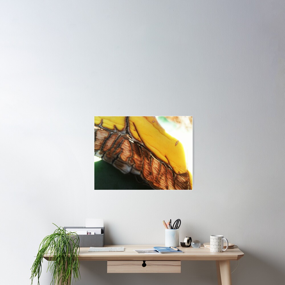 Item preview, Poster designed and sold by FlowersRHidden.