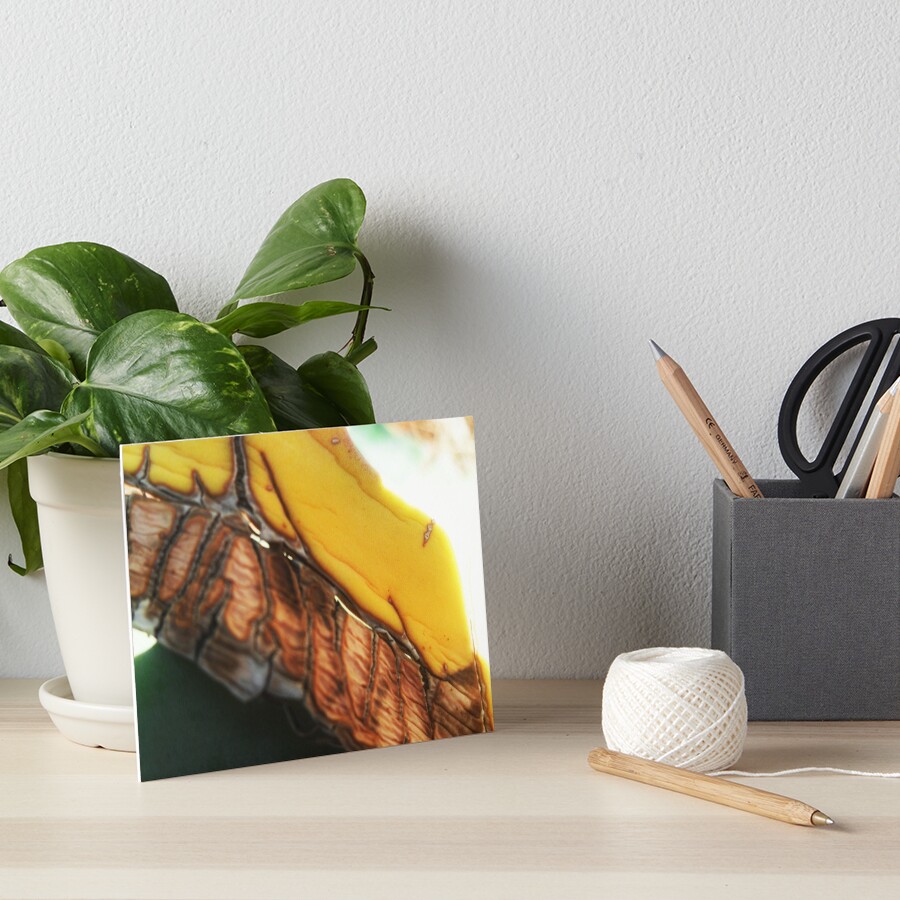 Item preview, Art Board Print designed and sold by FlowersRHidden.