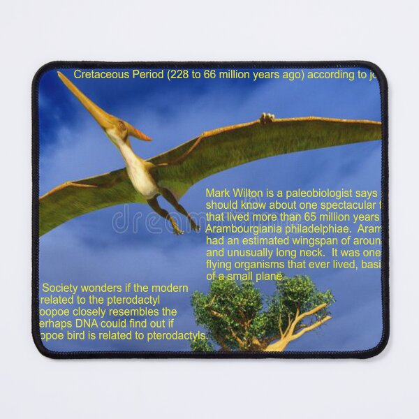 Item preview, Pterodactyl Art designed and sold by Alicefish.