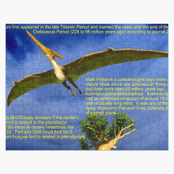 Why Pterosaurs Were the Weirdest Wonders on Wings