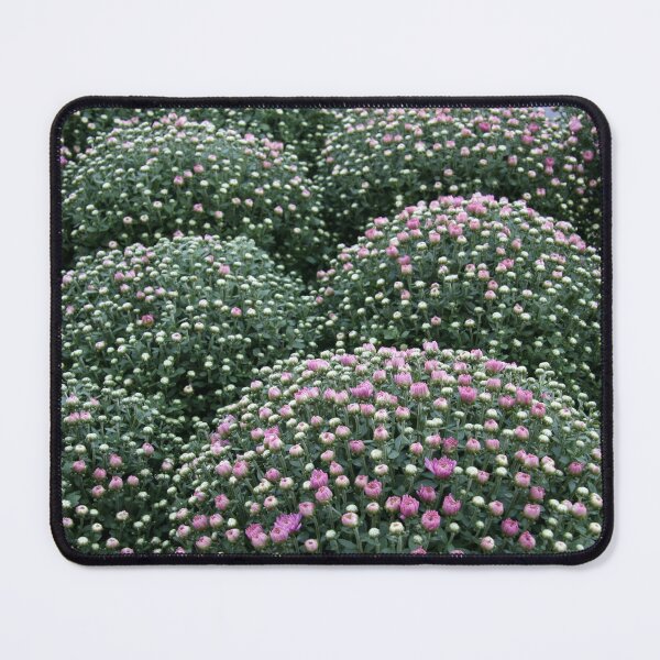 Item preview, Mounds of Mums designed and sold by coffeebean.