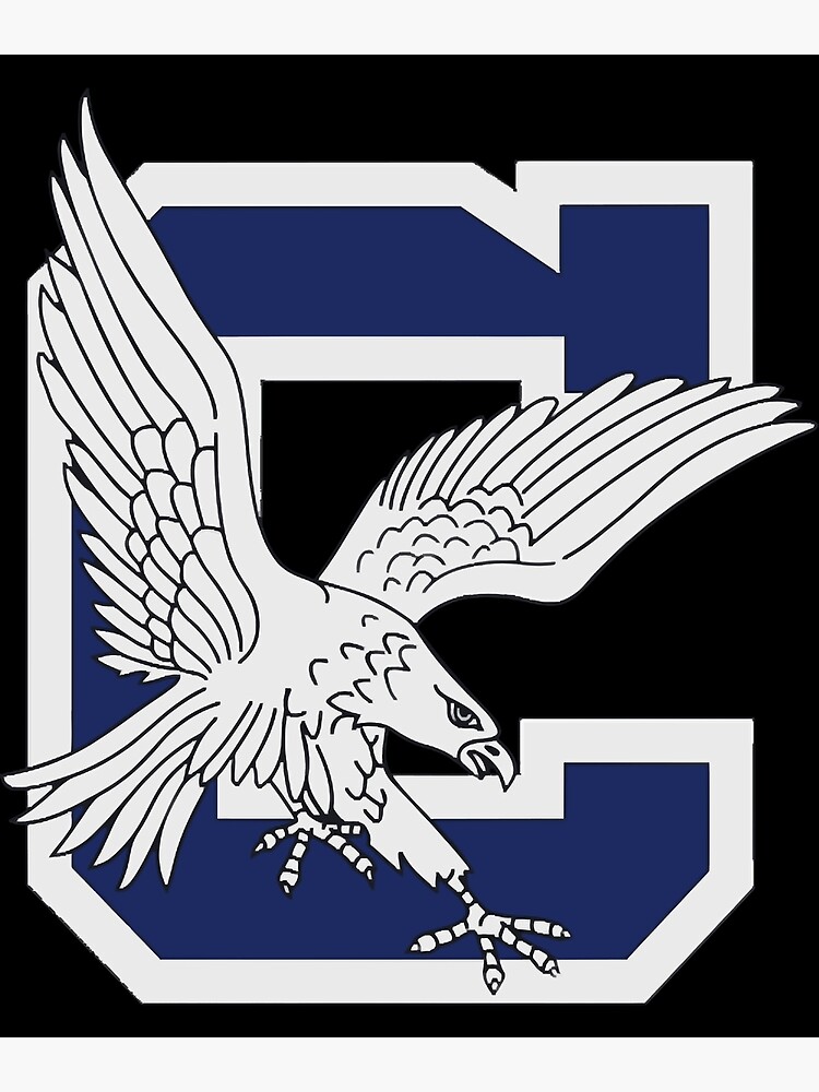 : Clover High School Blue Eagles Premium T-Shirt