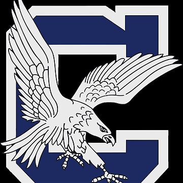 Printerval Clover High School Blue Eagles T-Shirt