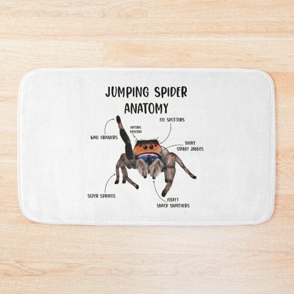 Item preview, Jumping Spider Anatomy designed and sold by Spinyflowerart.