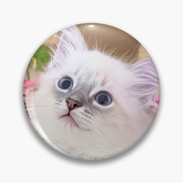 Item preview, Lynx ragdoll kitten with flowers designed and sold by Fluffycat2020.
