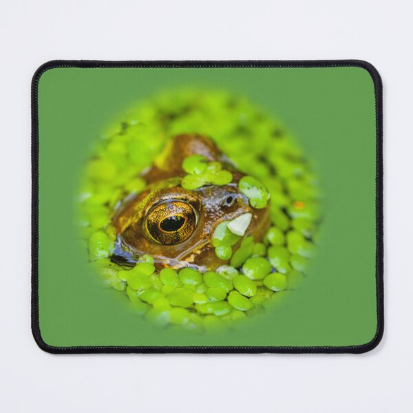 Item preview, Frog Prince in the duckweed designed and sold by Dalyndigital Photography.