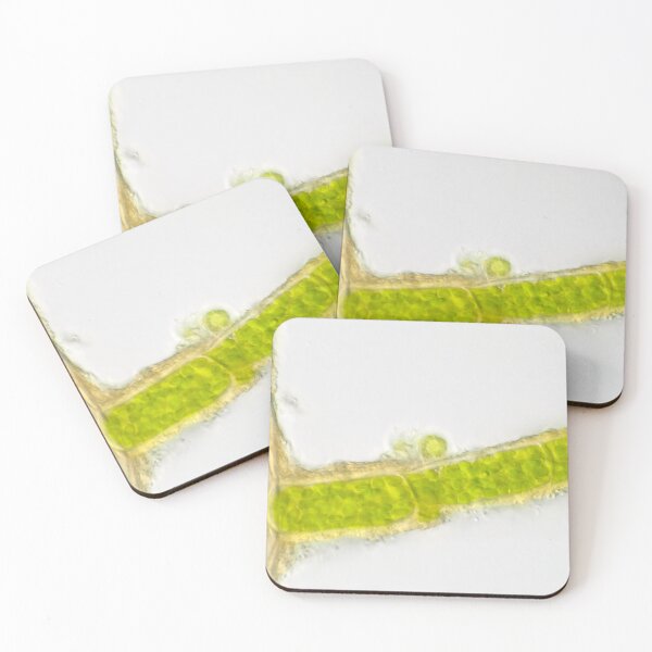 Item preview, Plant cells under the microscope, showing chlorophyll content designed and sold by SDym Photography.
