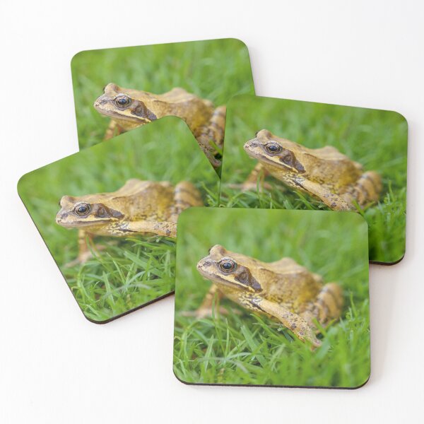 Item preview, Common frog sitting on the lawn designed and sold by Dalyndigital Photography.