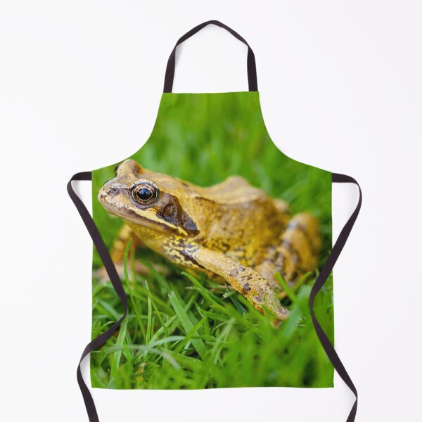 Item preview, Common frog sitting on the lawn designed and sold by Dalyndigital Photography.