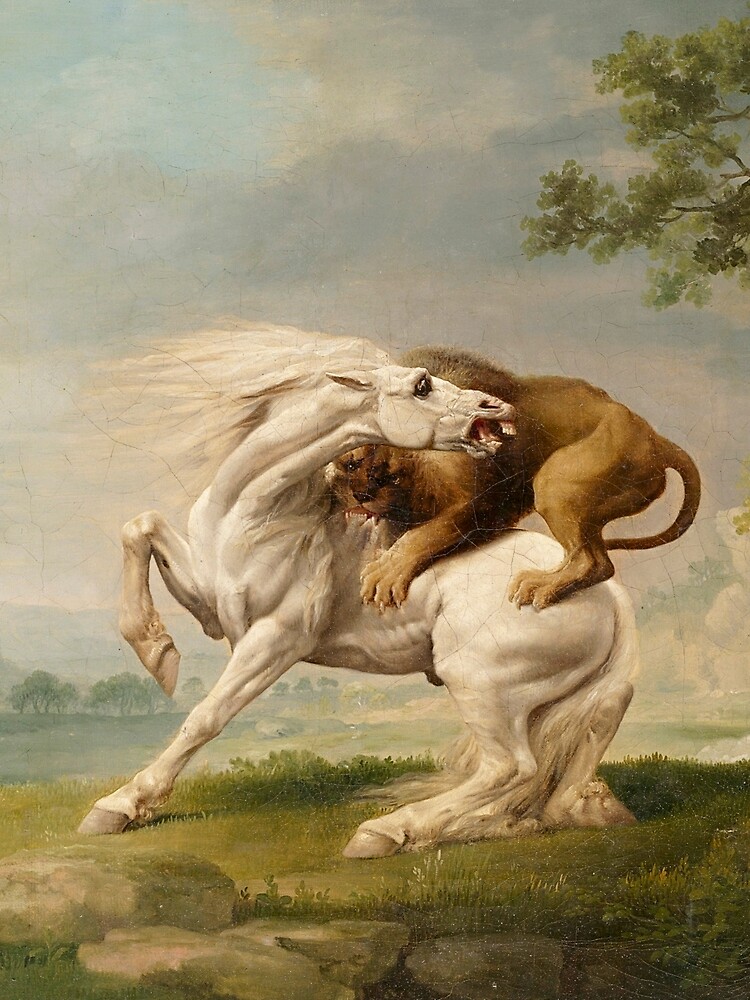 Stubbs A Lion Attacking A Horse 1765 " Tshirt by