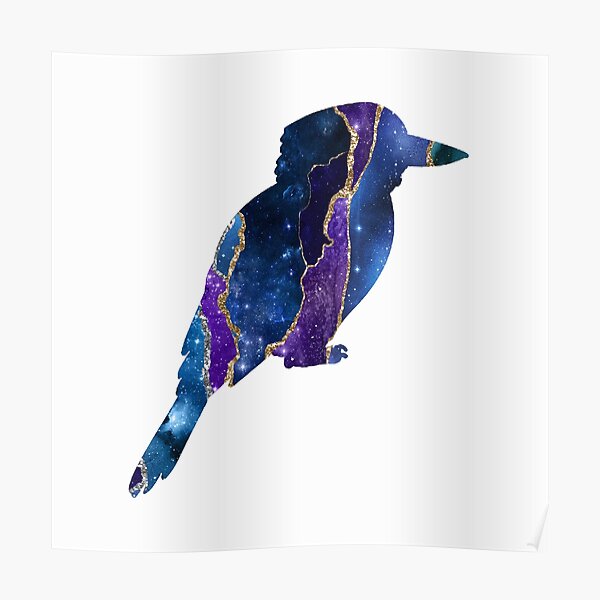 Kookaburra Poster