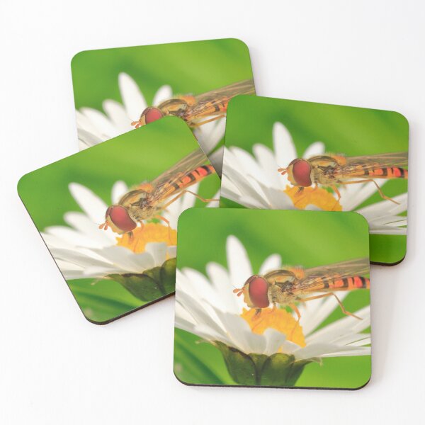 Item preview, Hoverfly on daisy designed and sold by chanonry.