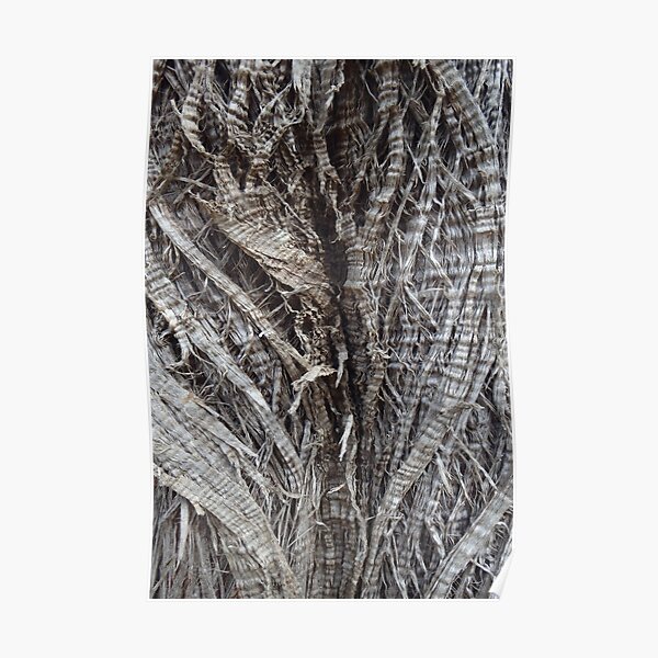 Crimped Poster