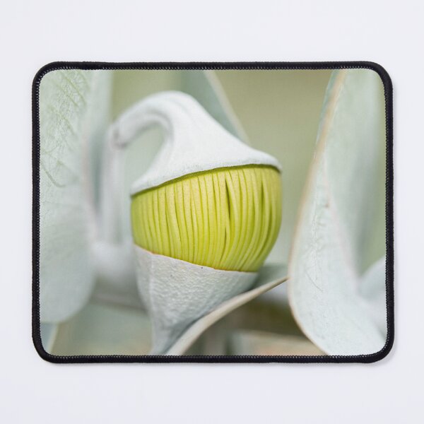 Item preview, A Squeeze of Lemon designed and sold by SallyB.Photography.