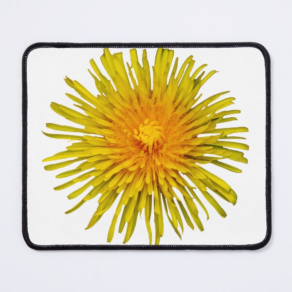 Item preview, Yellow Dandelion designed and sold by Dalyndigital Photography.
