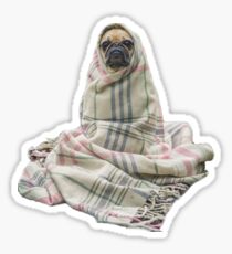 Pugs in a Blanket Sticker