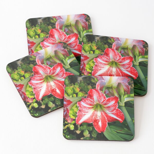 Item preview, Red & white liliums designed and sold by FranWest.