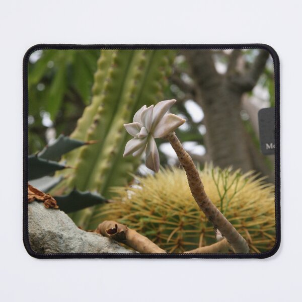 Item preview, En Garde designed and sold by coffeebean.