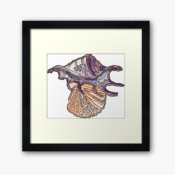 Shell Art Collection Framed Art Print