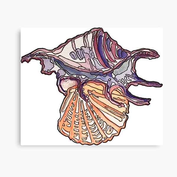 Shell Art Collection Canvas Print