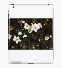 Perk Up iPad Case/Skin