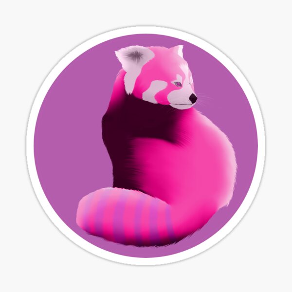 Red Panda in Pink Sticker