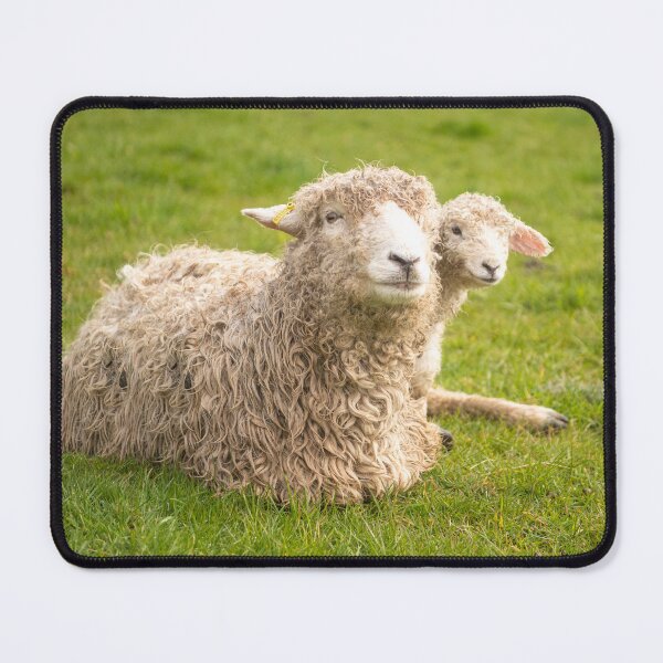Item preview, Mother with her  baby lamb designed and sold by kathleenjean.