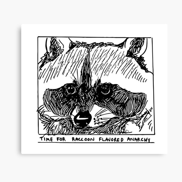 ANARCHY RACCOON - Anarchy Raccoon - Posters and Art Prints