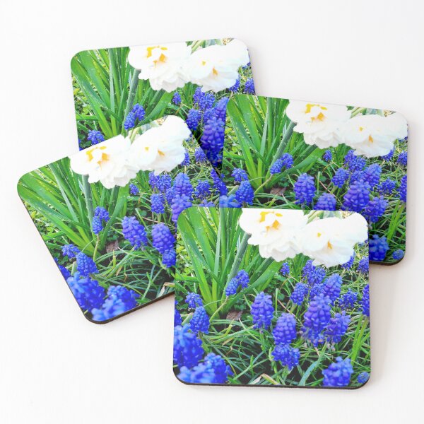 Item preview, Spring designed and sold by Dreammkd.