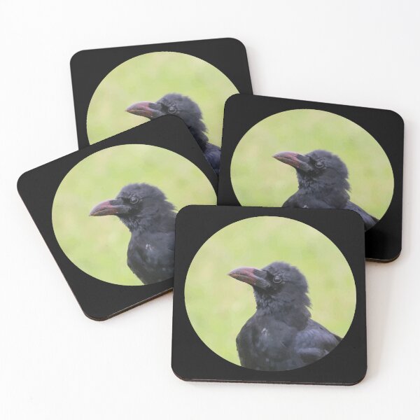 Item preview, Crow designed and sold by kasthu.
