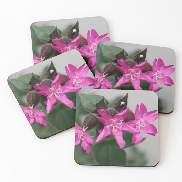 Item preview, Tough Girls designed and sold by coffeebean.