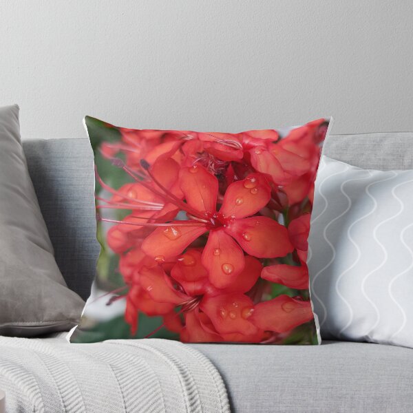 Item preview, Red designed and sold by Becca Kirkpatrick.