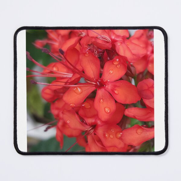 Item preview, Red designed and sold by Becca Kirkpatrick.