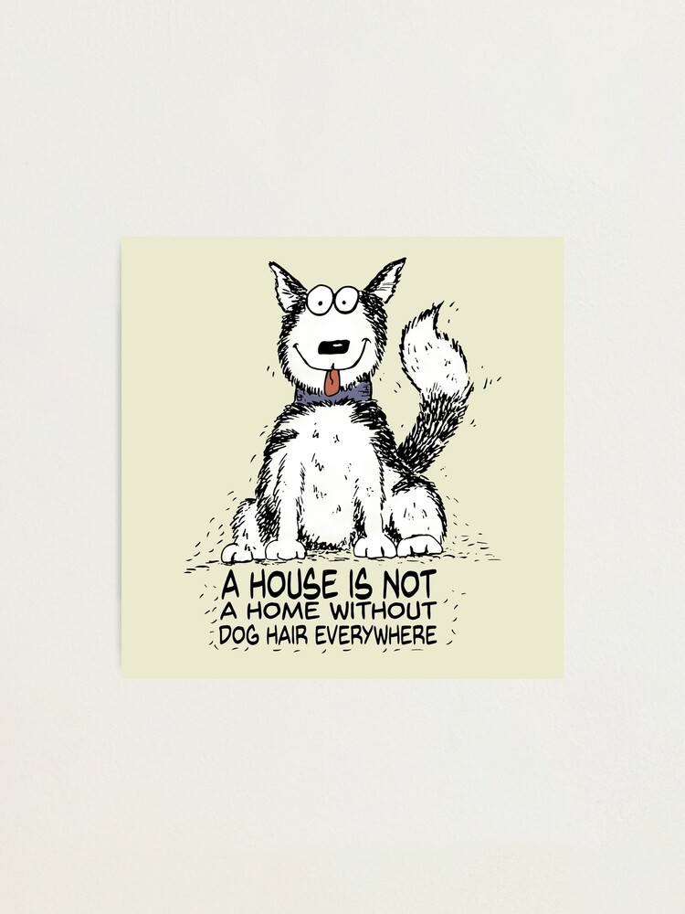 A house is not a home without dog hair everywhere A house is not a home without dog hair everywhere