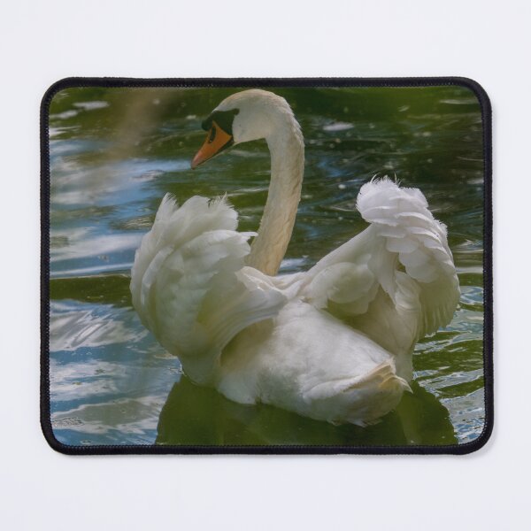 Item preview, swan with raised wings designed and sold by OskiOnTour.