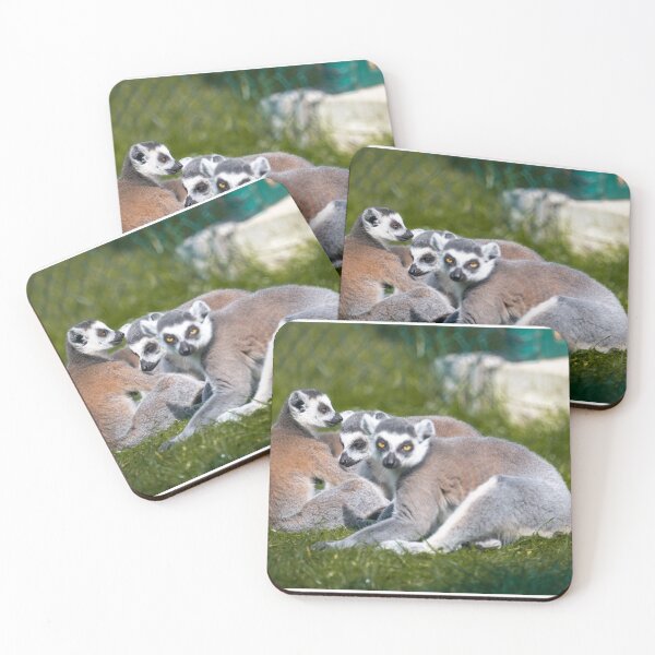 Item preview, ring-tailed lemurs among themselves designed and sold by OskiOnTour.