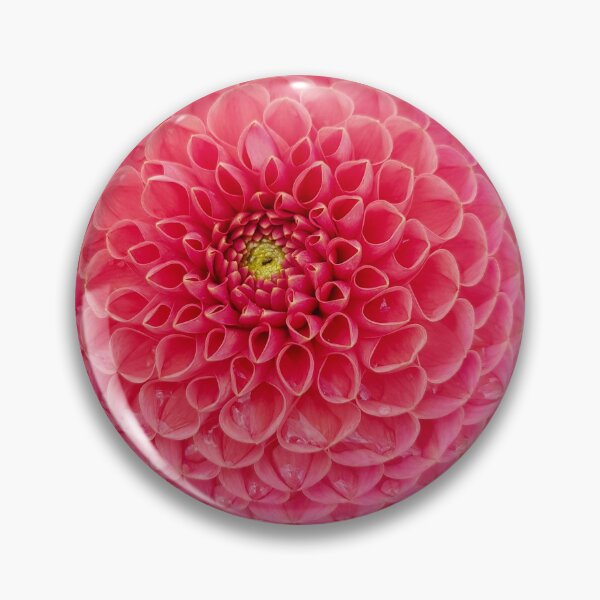 Item preview, Red Ball Dahlia Flower on Dark Blue Square designed and sold by ellenhenry.