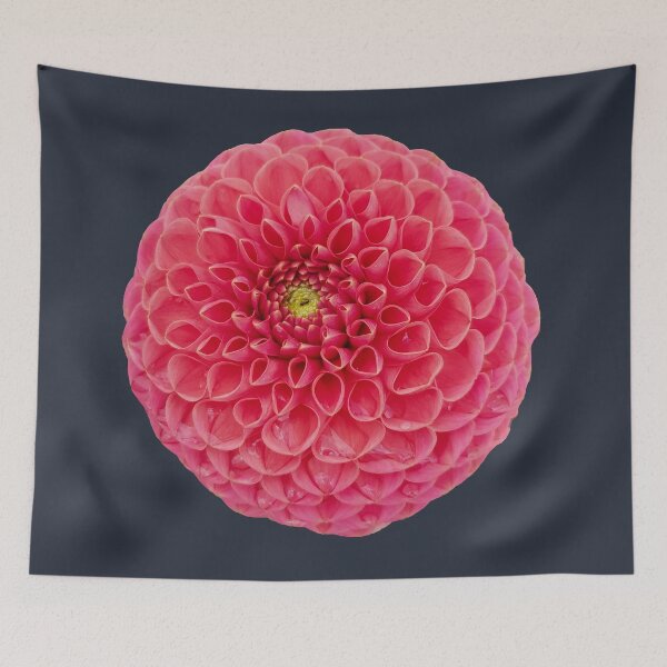 Item preview, Red Ball Dahlia Flower on Dark Blue Square designed and sold by ellenhenry.