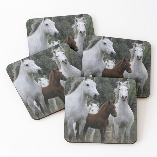 Artikelvorschau, La Camargue,Frankreich,Panorama,Landschaft,Pferd,Wilde Pferde,Reiten,Tier,Pferdekunst,Pferdeposter,Pferdeleinwand,Pferdeleinwand,Pferdeleinwandkunstwandkunst,Pony entworfen und verkauft von eyesight4vision.