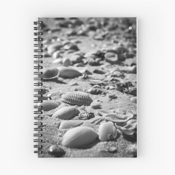Item preview, Fort Myers Seashells designed and sold by Nick Caldwell.