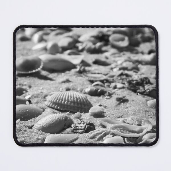 Item preview, Fort Myers Seashells designed and sold by Nick Caldwell.