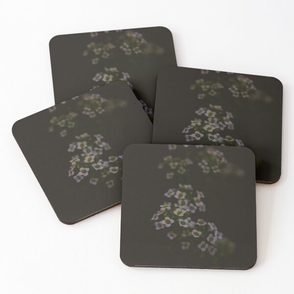Item preview, White wild Flower designed and sold by kasthu.