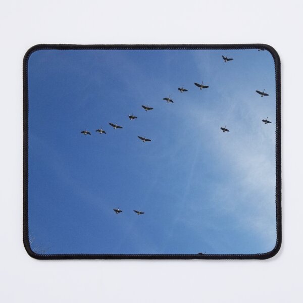 Item preview, Geese in flight designed and sold by gratogratto.