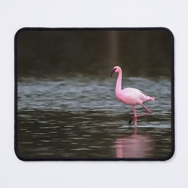 Item preview, Lesser Flamingo In A Solar Spotlight designed and sold by taiche.