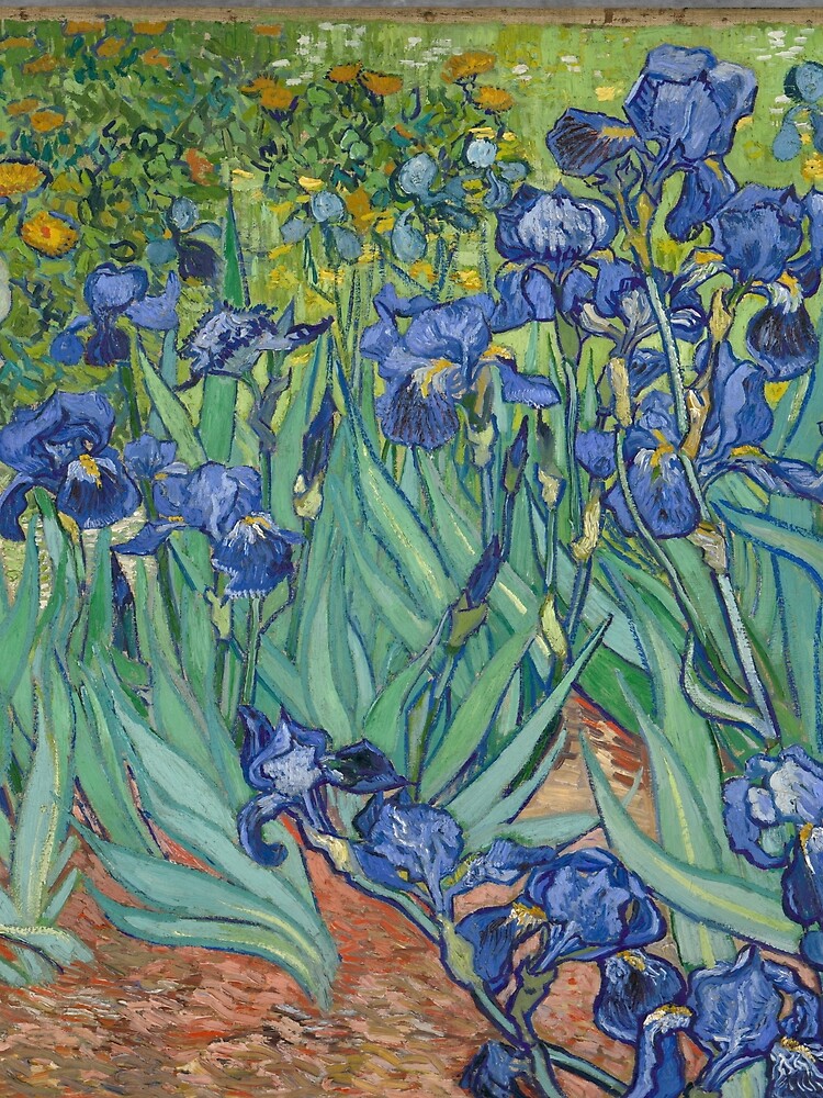 Vincent Van Gogh - Irises, May 1889. J. Paul Getty Museum, Los